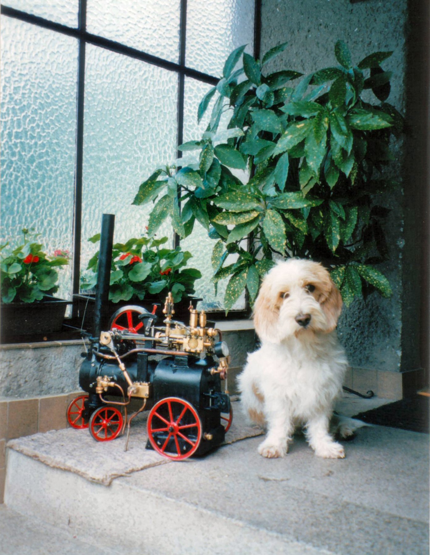 hubert_puberta_04.jpg
