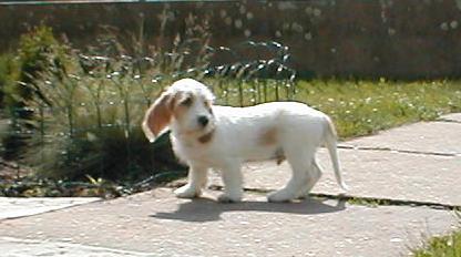Hubert_stene_02.JPG