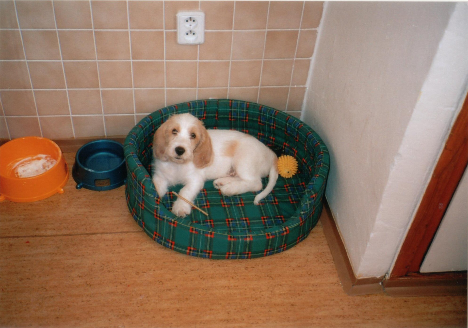 hubert_stene_04.jpg